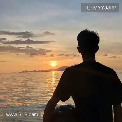 凤万宇